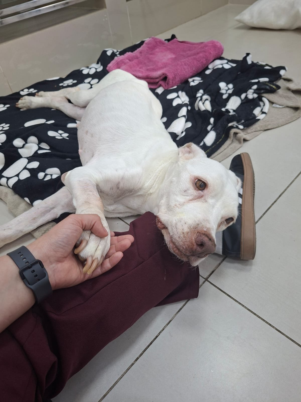 Debora em ozonioterapia